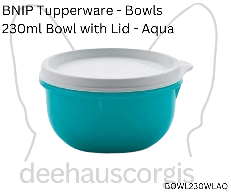 Bowl 230ml with Lid - Aqua