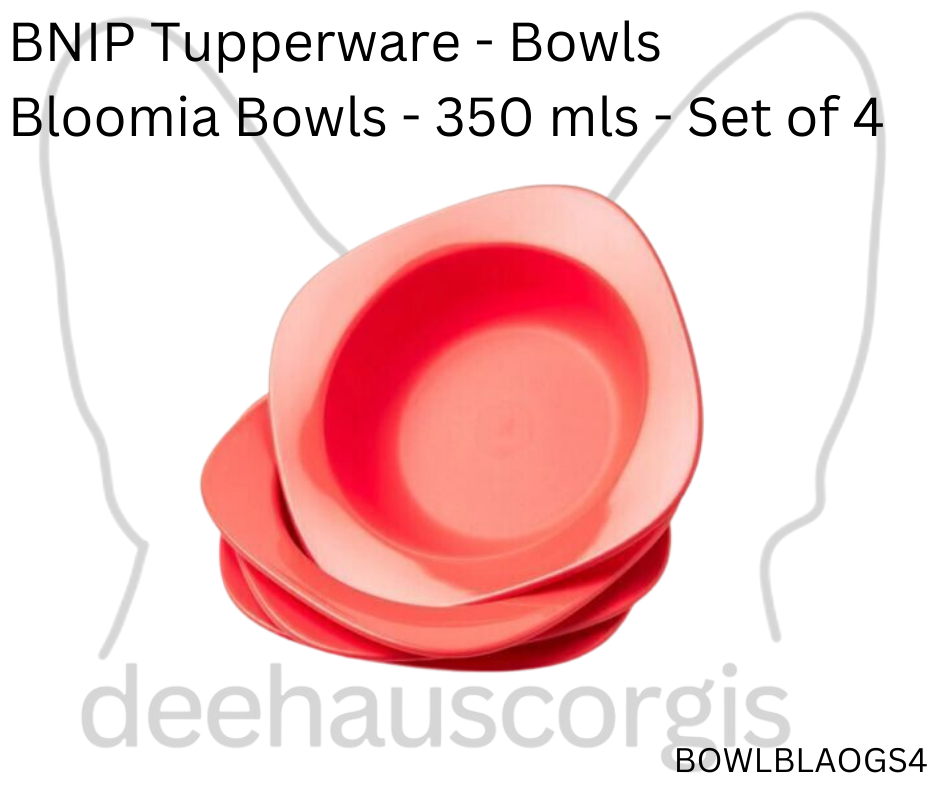 Bloomia Bowls - Orange - Set of 4