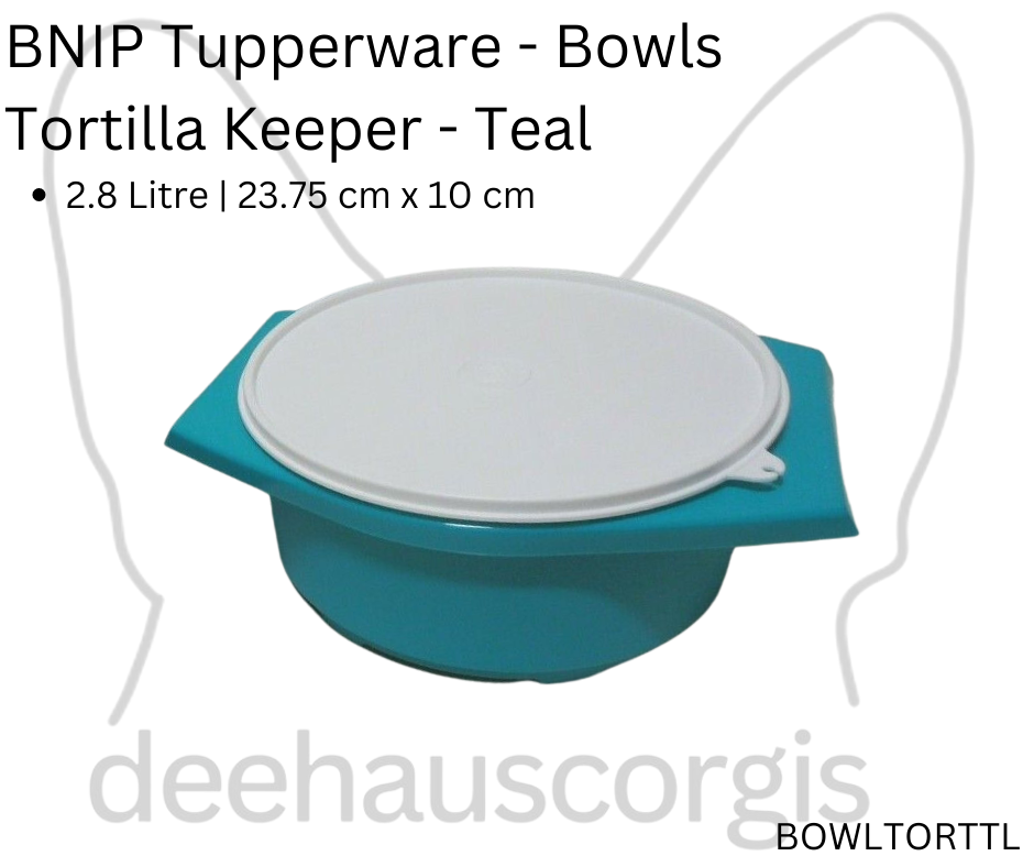 Tortilla Bowl - Teal