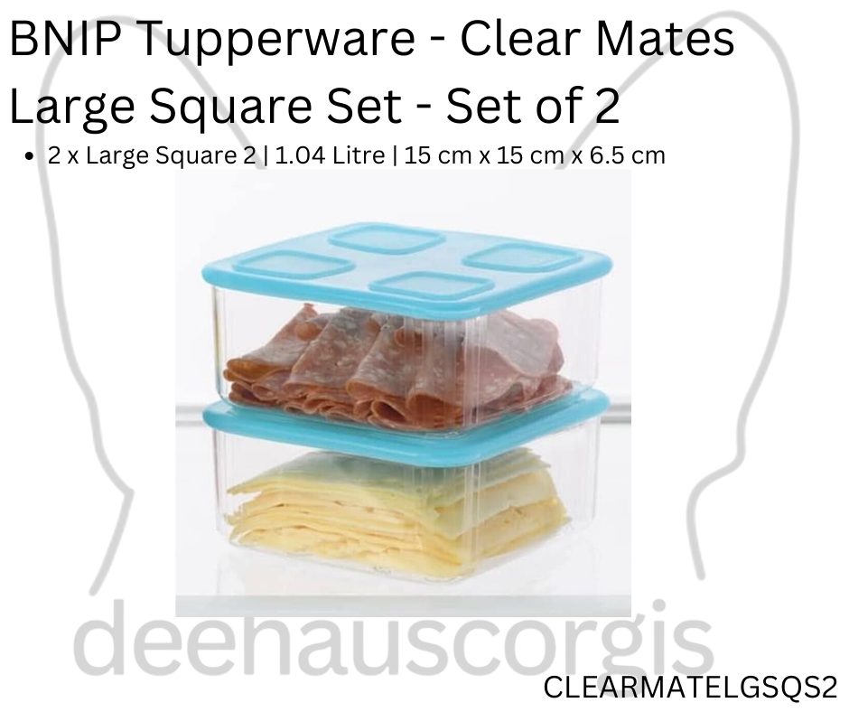 Clear Mates Large Square Set - Set of 2