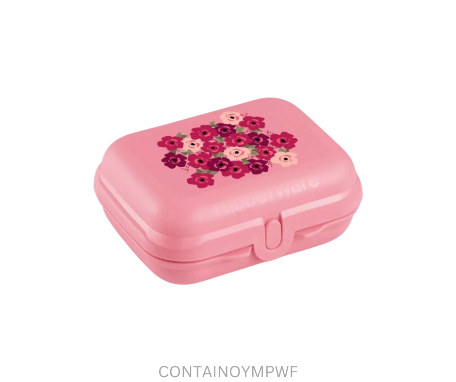 Tupperware Oyster - Medium - Pink with Flowers