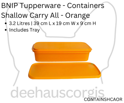 Container - Shallow Carry All - Orange