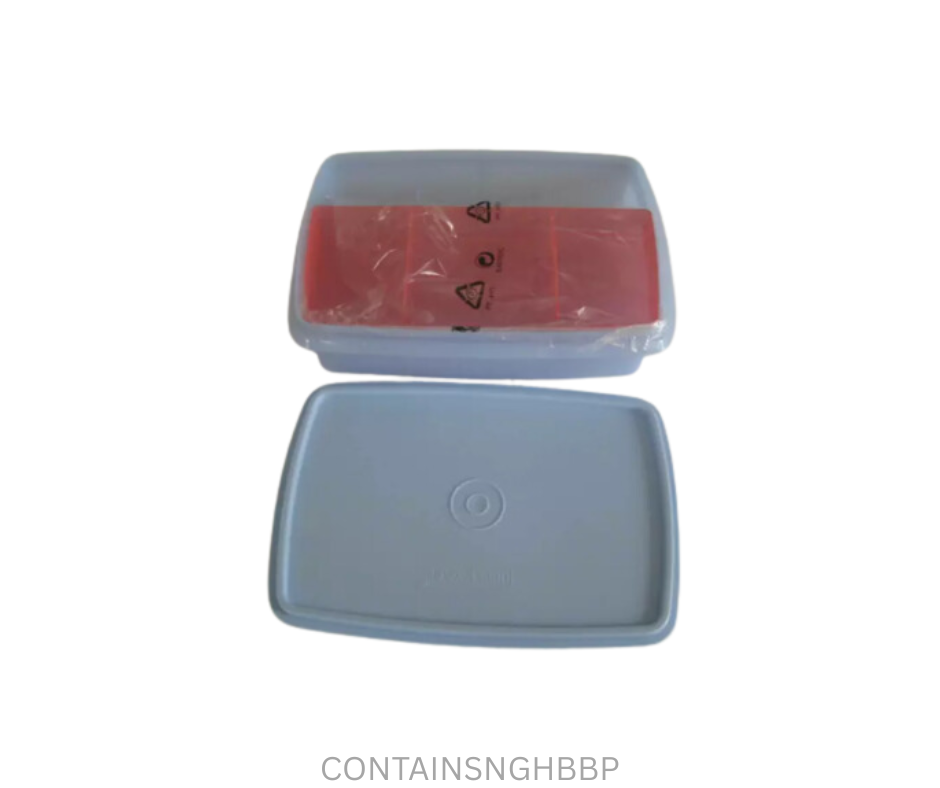 Tupperware Container - Stow and Go Hobby Box - Blue Pink