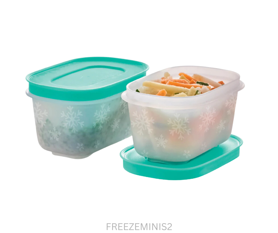 Tupperware Freezer Keeper Mini - Set of 2