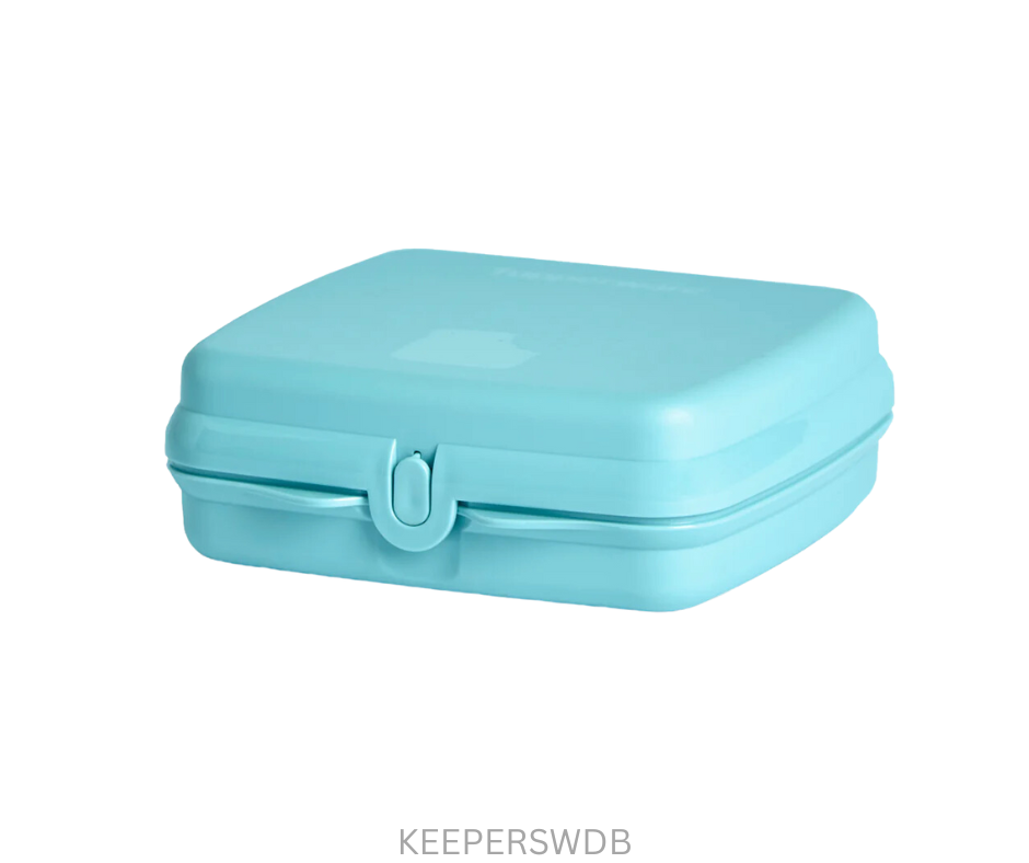 Tupperware Keeper - Sandwich Dolphin Blue