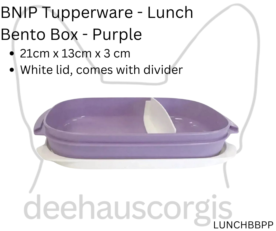 Tupperware Bento Box - Purple