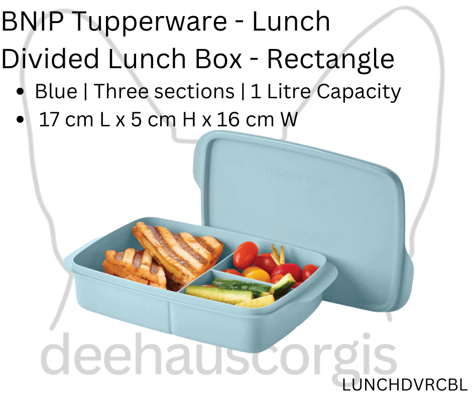 Tupperware Divided Lunch Box - Rectangle - Light Blue