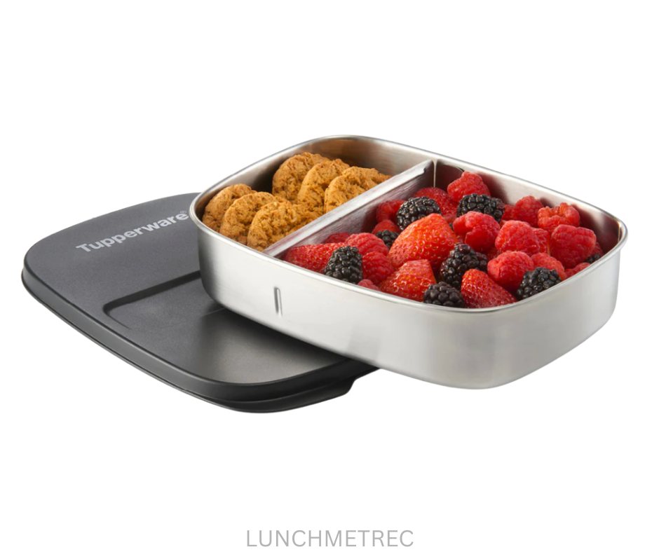 Tupperware Metal Lunch Box Rectangular
