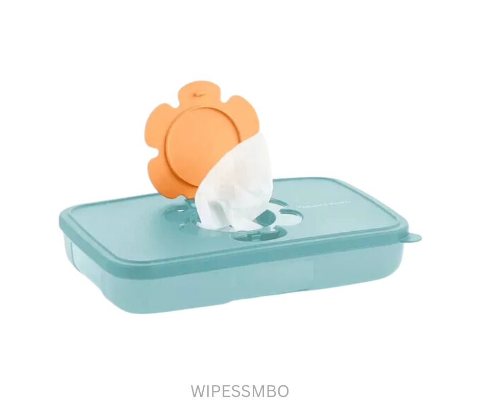 Tupperware Wipes Small - Blue Orange