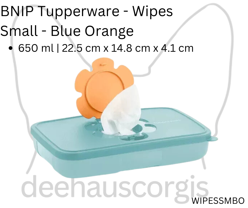 Tupperware Wipes Small - Blue Orange