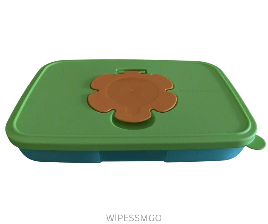 Wipes Small - Green Orange